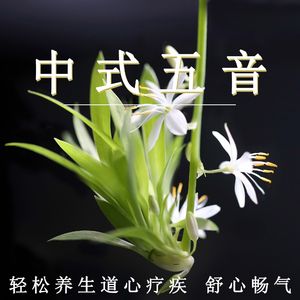 撅屁股+挨揍+虐臀+调教
